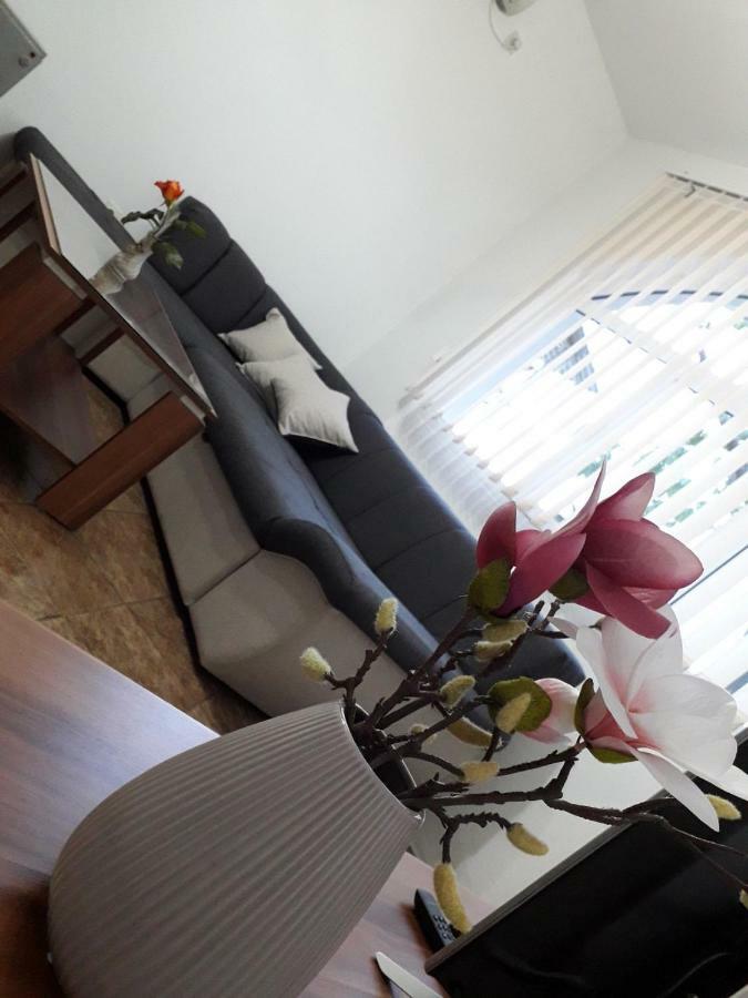 Apartman Samardzic تريبينيي المظهر الخارجي الصورة